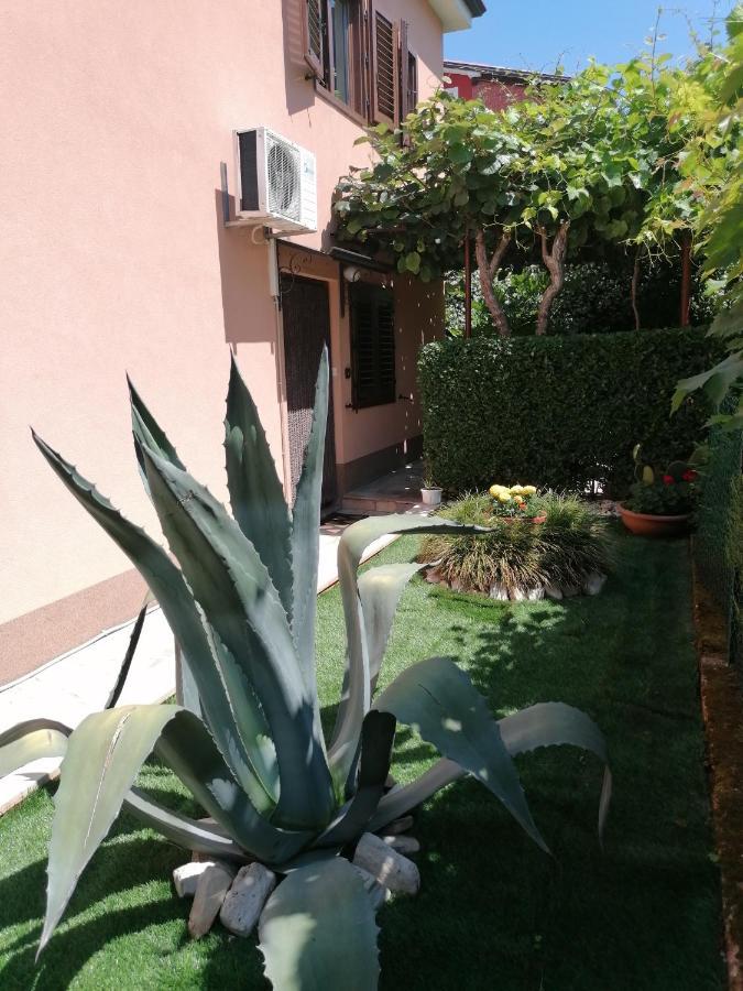 Apartman Bruna Novigrad Istria Extérieur photo