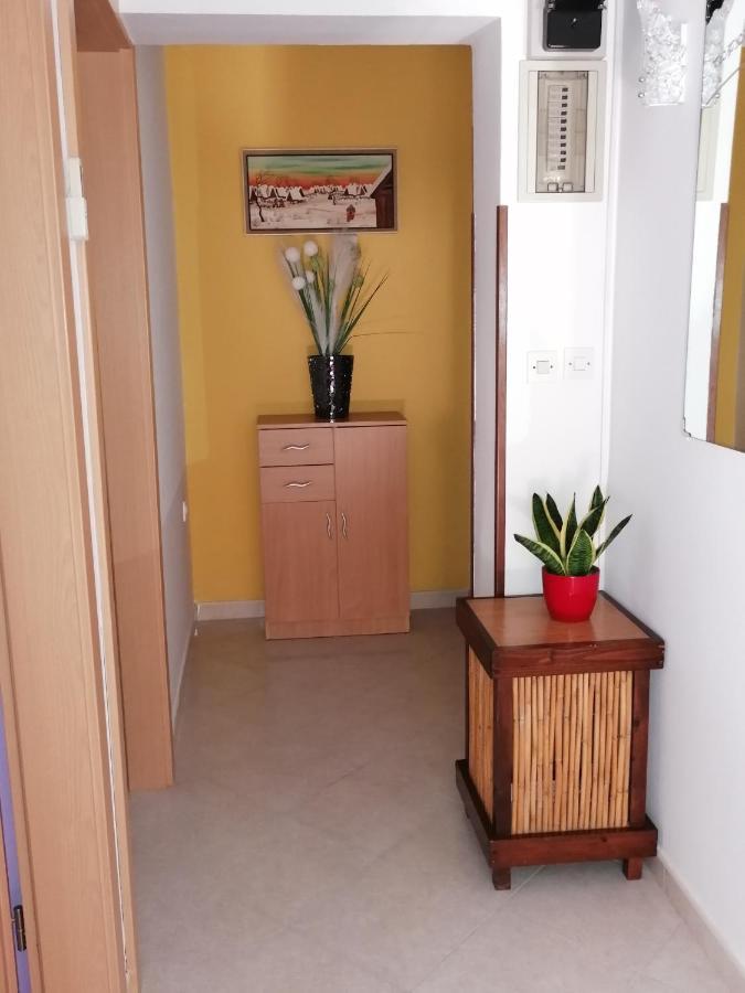 Apartman Bruna Novigrad Istria Extérieur photo